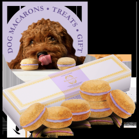 Dog Macarons - Box of 6 (Available in 12 Flavors)