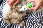 Odor Eliminating Ear Cleaner with Photocatalyst Technology