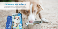 Replenish Dog Water Supplement (10 pack)
