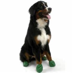 PAWZ D BOOTS GRN XLG 12CT