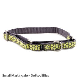 PetSafe Fido Finery Martingale Style Collar (3/4 Small, Dotted Bliss)