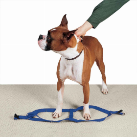 CC Nylon 2 Step Harness (Color: Royal blue, size: 9-15in)