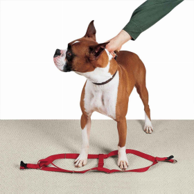 CC Nylon 2 Step Harness (Color: Red, size: 9-15in)