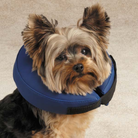 TH Inflatable Collar (Color: Blue, size: medium)