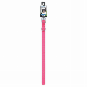 Diggers 5/8in Nylon Collar (Color: Neon Pink, size: 12in)
