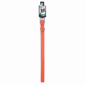 DGR 1in Nylon Collar (Color: Neon Orange, size: 18in)