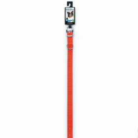 DGR 3/4in Nylon Collar (Color: Neon Orange, size: 20in)