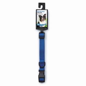 DGR 1in Adjustable Collar (Color: Blue)