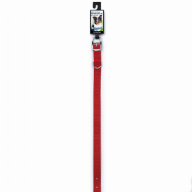 DGR 3/4in Nylon Collar (Color: Red, size: 16in)