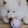 The Odin - Modern Treat Dispensing Dog Puzzle