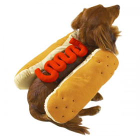 Casual Canine Hot Diggity Dog Costume (Color: Mustard, size: small)
