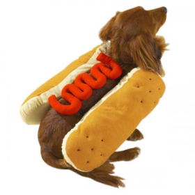 Casual Canine Hot Diggity Dog Costume (Color: Mustard, size: large)