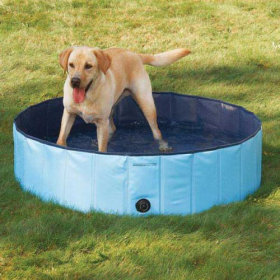 Cool Pup Splash About Dog Pool (Color: Blue, size: medium)