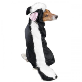 Casual Canine Lil' Stinker Costume (size: medium)